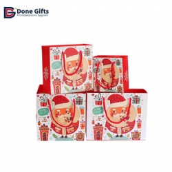 DBA1007 - Paper Bags