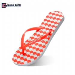 DS2029 - Flip Flops